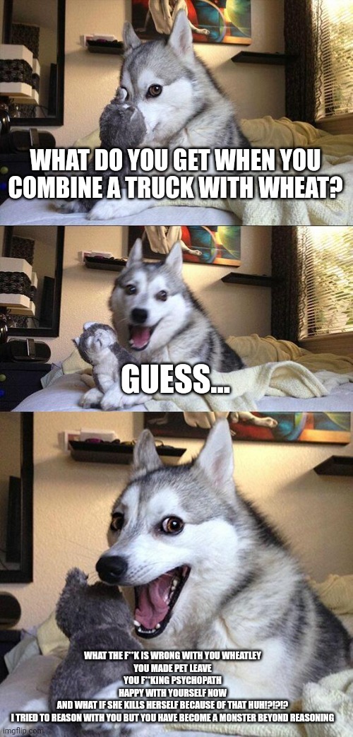 Lol | WHAT DO YOU GET WHEN YOU COMBINE A TRUCK WITH WHEAT? GUESS... WHAT THE F**K IS WRONG WITH YOU WHEATLEY
YOU MADE PET LEAVE
YOU F**KING PSYCHOPATH
HAPPY WITH YOURSELF NOW
AND WHAT IF SHE KILLS HERSELF BECAUSE OF THAT HUH!?!?!?
I TRIED TO REASON WITH YOU BUT YOU HAVE BECOME A MONSTER BEYOND REASONING | image tagged in memes,bad pun dog | made w/ Imgflip meme maker