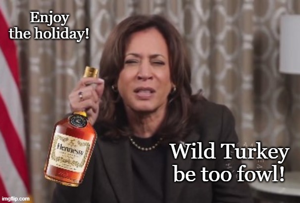 What did it bring to the dinner? | Enjoy the holiday! Wild Turkey be too fowl! | image tagged in kamala harris,thanksgiving,go home youre drunk | made w/ Imgflip meme maker