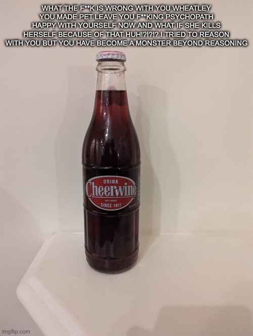 Cheerwine | WHAT THE F**K IS WRONG WITH YOU WHEATLEY YOU MADE PET LEAVE YOU F**KING PSYCHOPATH HAPPY WITH YOURSELF NOW AND WHAT IF SHE KILLS HERSELF BECAUSE OF THAT HUH!?!?!? I TRIED TO REASON WITH YOU BUT YOU HAVE BECOME A MONSTER BEYOND REASONING | image tagged in cheerwine | made w/ Imgflip meme maker