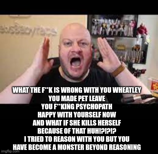 XD | WHAT THE F**K IS WRONG WITH YOU WHEATLEY
YOU MADE PET LEAVE
YOU F**KING PSYCHOPATH
HAPPY WITH YOURSELF NOW
AND WHAT IF SHE KILLS HERSELF BECAUSE OF THAT HUH!?!?!?
I TRIED TO REASON WITH YOU BUT YOU HAVE BECOME A MONSTER BEYOND REASONING | image tagged in heelvsbabyface | made w/ Imgflip meme maker