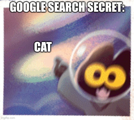 Same as the last post, but with cat paws and meows instead | GOOGLE SEARCH SECRET:; CAT | image tagged in momo the cat pog | made w/ Imgflip meme maker