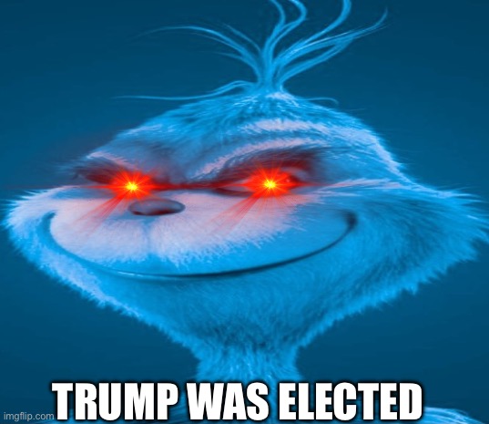 Blue Grinch | TRUMP WAS ELECTED | image tagged in blue grinch | made w/ Imgflip meme maker