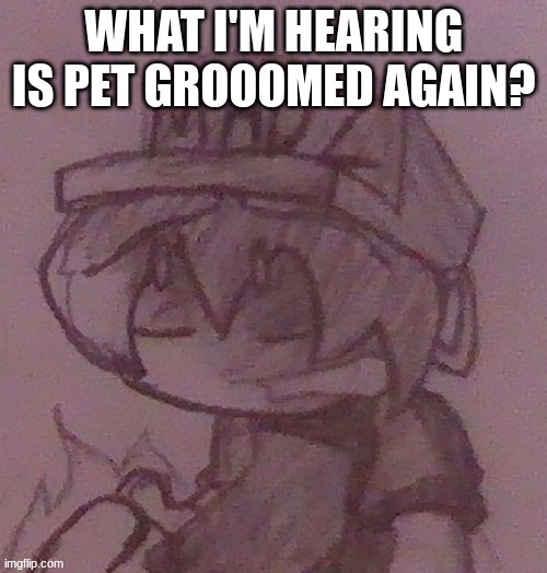 . | WHAT I'M HEARING IS PET GROOOMED AGAIN? | image tagged in what has this world come to hd | made w/ Imgflip meme maker