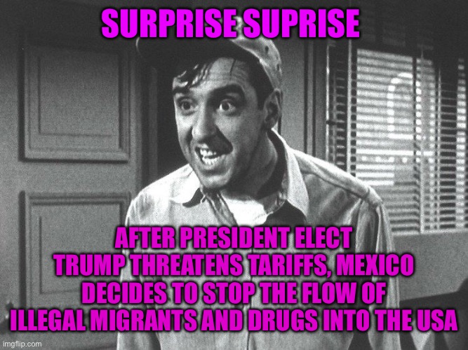 Suprise | SURPRISE SUPRISE; AFTER PRESIDENT ELECT TRUMP THREATENS TARIFFS, MEXICO DECIDES TO STOP THE FLOW OF ILLEGAL MIGRANTS AND DRUGS INTO THE USA | image tagged in suprise | made w/ Imgflip meme maker