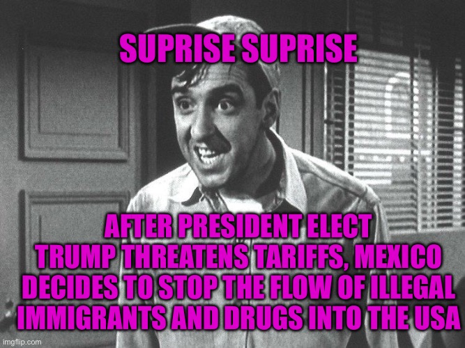 Suprise | SUPRISE SUPRISE; AFTER PRESIDENT ELECT TRUMP THREATENS TARIFFS, MEXICO DECIDES TO STOP THE FLOW OF ILLEGAL IMMIGRANTS AND DRUGS INTO THE USA | image tagged in suprise | made w/ Imgflip meme maker