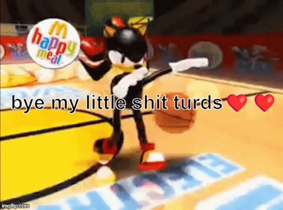 gn | bye my little shit turds❤️❤️ | image tagged in shadow basketball | made w/ Imgflip meme maker