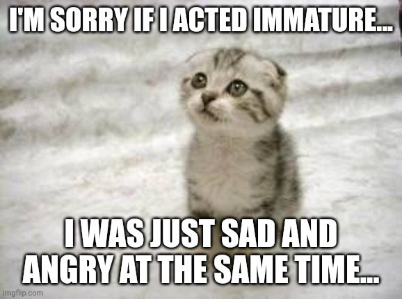 I'm just sick of people lying. But This, just hurt my reputation... | I'M SORRY IF I ACTED IMMATURE... I WAS JUST SAD AND ANGRY AT THE SAME TIME... | image tagged in memes,sad cat | made w/ Imgflip meme maker