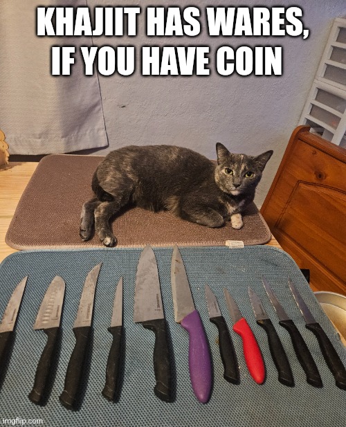 MY WIFE JUST WASHED HER KNIVES FOR THANKSGIVING AND THE CAT HAD TO LAY NEXT TO THEM | KHAJIIT HAS WARES, IF YOU HAVE COIN | image tagged in cats,funny cats,khajiit,skyrim | made w/ Imgflip meme maker