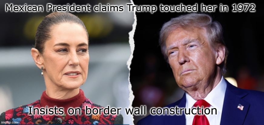 Trump Mex Pres | Mexican President claims Trump touched her in 1972; Insists on border wall construction | image tagged in mex pres trump | made w/ Imgflip meme maker