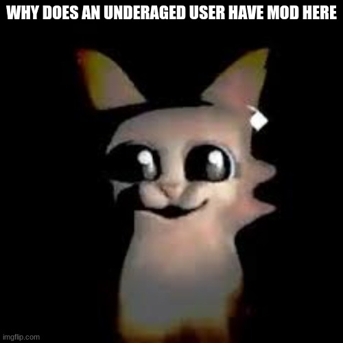 (Mod note: Ethan is underaged so why do you ask?) | WHY DOES AN UNDERAGED USER HAVE MOD HERE | image tagged in car | made w/ Imgflip meme maker