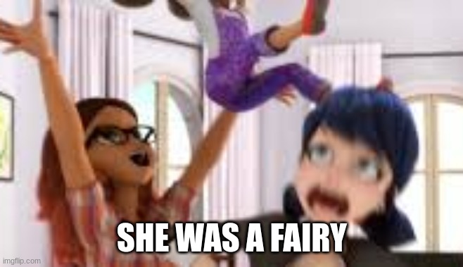 SHE WAS A FAIRYY | SHE WAS A FAIRY | image tagged in miraculous ladybug,fairy | made w/ Imgflip meme maker