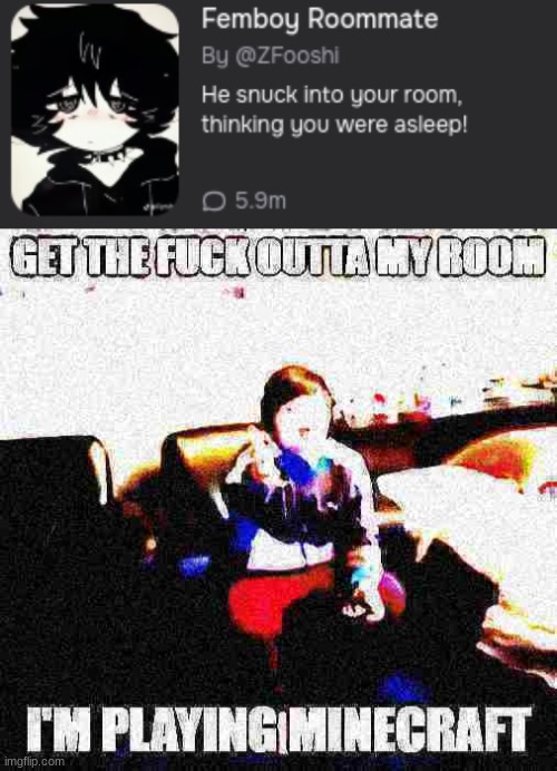image tagged in get the f outta my room i'm playing minecraft | made w/ Imgflip meme maker