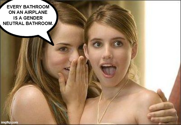 Girls gossiping | EVERY BATHROOM ON AN AIRPLANE IS A GENDER NEUTRAL BATHROOM. | image tagged in girls gossiping | made w/ Imgflip meme maker