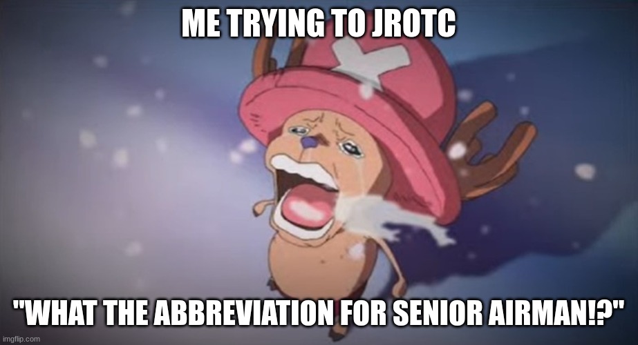 Only rotc understand... | ME TRYING TO JROTC; "WHAT THE ABBREVIATION FOR SENIOR AIRMAN!?" | image tagged in crying one piece character,air force one | made w/ Imgflip meme maker