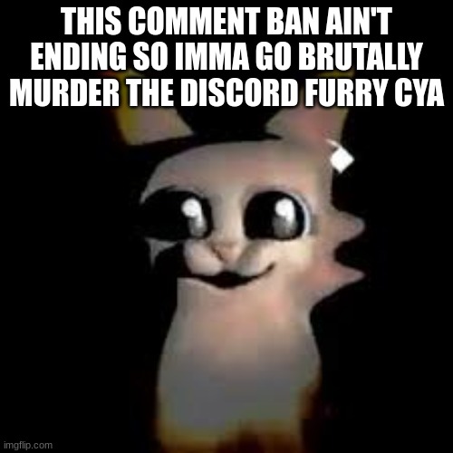 Car | THIS COMMENT BAN AIN'T ENDING SO IMMA GO BRUTALLY MURDER THE DISCORD FURRY CYA | image tagged in car | made w/ Imgflip meme maker