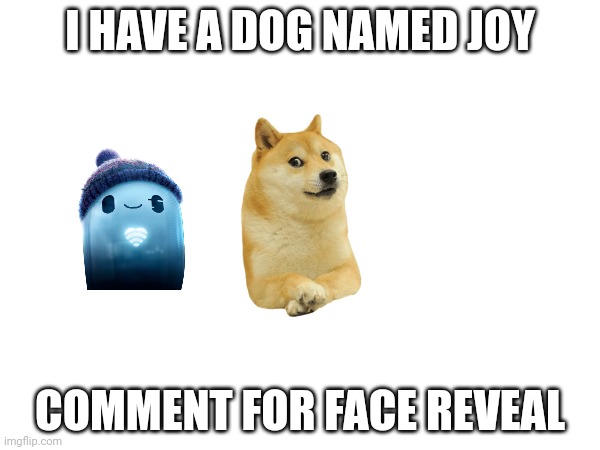 I HAVE A DOG NAMED JOY; COMMENT FOR FACE REVEAL | made w/ Imgflip meme maker