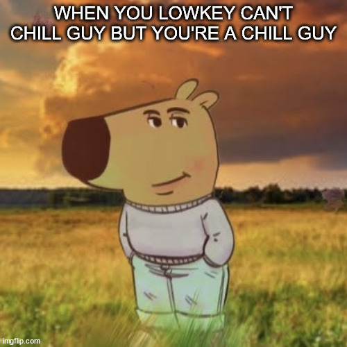 this feeling is amazing | WHEN YOU LOWKEY CAN'T CHILL GUY BUT YOU'RE A CHILL GUY | image tagged in chill guy,not chill but very guy,chill,guy | made w/ Imgflip meme maker