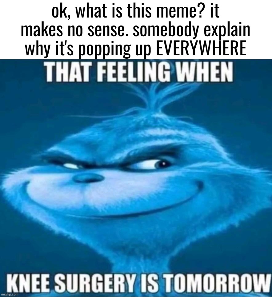 what's with the knee surgery and blue grinch? | ok, what is this meme? it makes no sense. somebody explain why it's popping up EVERYWHERE | image tagged in that feeling when knee surgery is tomorrow,confused screaming,confusing,i need context,out of context | made w/ Imgflip meme maker