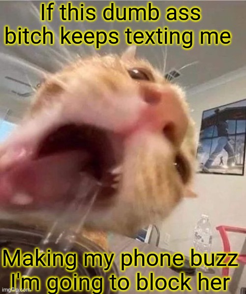 I LITERALLY TOLD HER I HAVE WORK IN THE MORNING | If this dumb ass bitch keeps texting me; Making my phone buzz I'm going to block her | image tagged in blahhhhhhhh | made w/ Imgflip meme maker