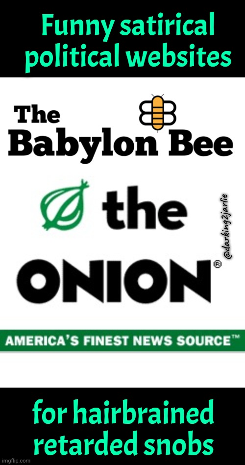 Both suck | Funny satirical political websites; @darking2jarlie; for hairbrained retarded snobs | image tagged in the onion,satire,politics | made w/ Imgflip meme maker