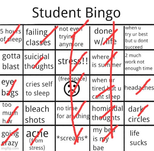 I deal cuz I'm just silly like that hehe :> | image tagged in student bingo | made w/ Imgflip meme maker