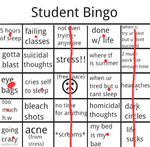 I'm slowly batshit crazy | image tagged in student bingo | made w/ Imgflip meme maker