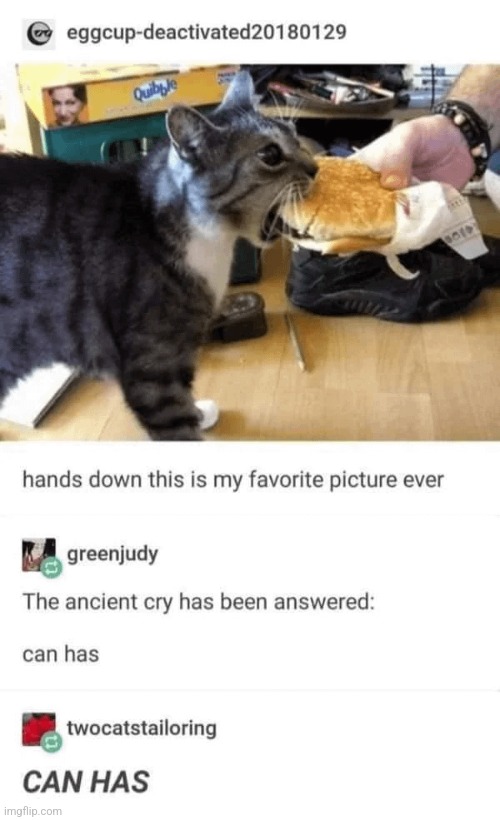 He can has cheezeburger | made w/ Imgflip meme maker