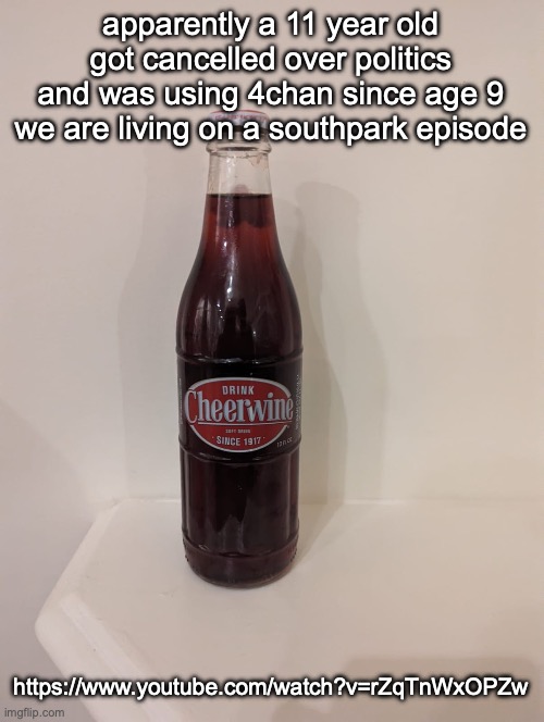 Cheerwine | apparently a 11 year old got cancelled over politics and was using 4chan since age 9
we are living on a southpark episode; https://www.youtube.com/watch?v=rZqTnWxOPZw | image tagged in cheerwine | made w/ Imgflip meme maker