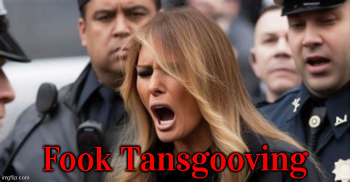 Fook Tansgooving | Fook Tansgooving | image tagged in fook tansgooving | made w/ Imgflip meme maker