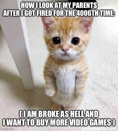 *lazy ahh title* | HOW I LOOK AT MY PARENTS AFTER I GOT FIRED FOR THE 4006TH TIME:; ( I AM BROKE AS HELL AND I WANT TO BUY MORE VIDEO GAMES ) | image tagged in memes,cute cat,jobless | made w/ Imgflip meme maker