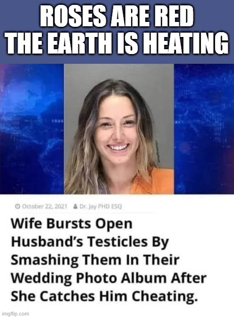ROSES ARE RED
THE EARTH IS HEATING | image tagged in poem | made w/ Imgflip meme maker