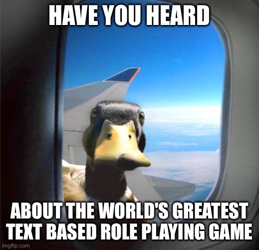 Me talking about Torn at every available opportunity | HAVE YOU HEARD; ABOUT THE WORLD'S GREATEST TEXT BASED ROLE PLAYING GAME | image tagged in duck airplane | made w/ Imgflip meme maker