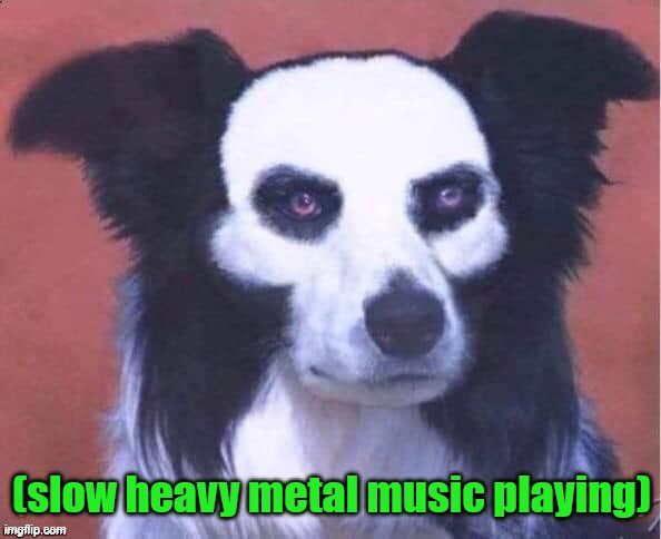 slow metal | image tagged in slow metal | made w/ Imgflip meme maker