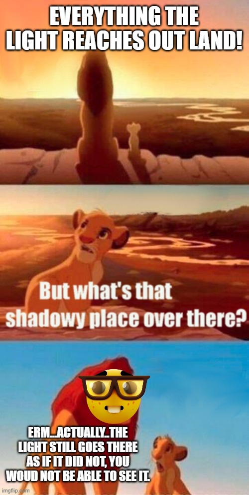 Simba Shadowy Place Meme | EVERYTHING THE LIGHT REACHES OUT LAND! ERM...ACTUALLY..THE LIGHT STILL GOES THERE AS IF IT DID NOT, YOU WOUD NOT BE ABLE TO SEE IT. | image tagged in memes,simba shadowy place | made w/ Imgflip meme maker