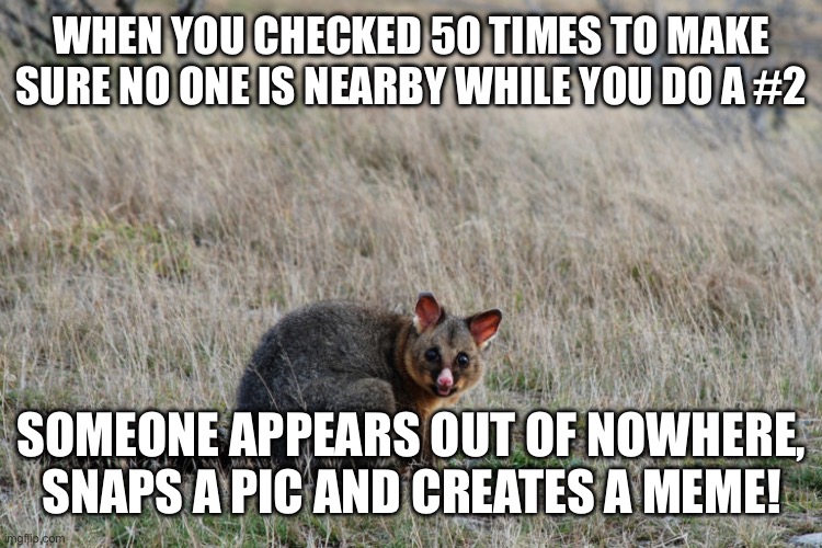 Brushtail | WHEN YOU CHECKED 50 TIMES TO MAKE SURE NO ONE IS NEARBY WHILE YOU DO A #2; SOMEONE APPEARS OUT OF NOWHERE, SNAPS A PIC AND CREATES A MEME! | image tagged in funny | made w/ Imgflip meme maker