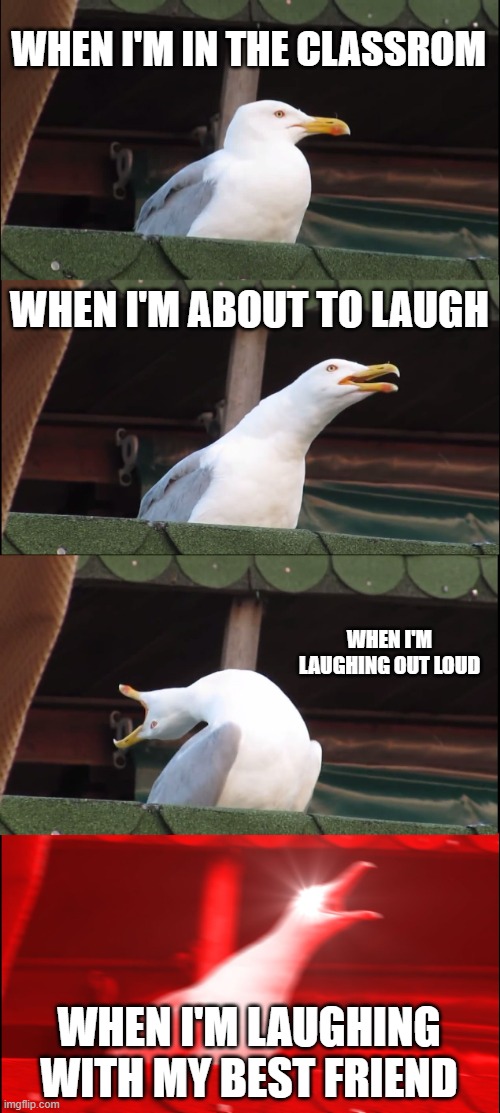 Me when I'm laughing | WHEN I'M IN THE CLASSROM; WHEN I'M ABOUT TO LAUGH; WHEN I'M LAUGHING OUT LOUD; WHEN I'M LAUGHING WITH MY BEST FRIEND | image tagged in memes | made w/ Imgflip meme maker