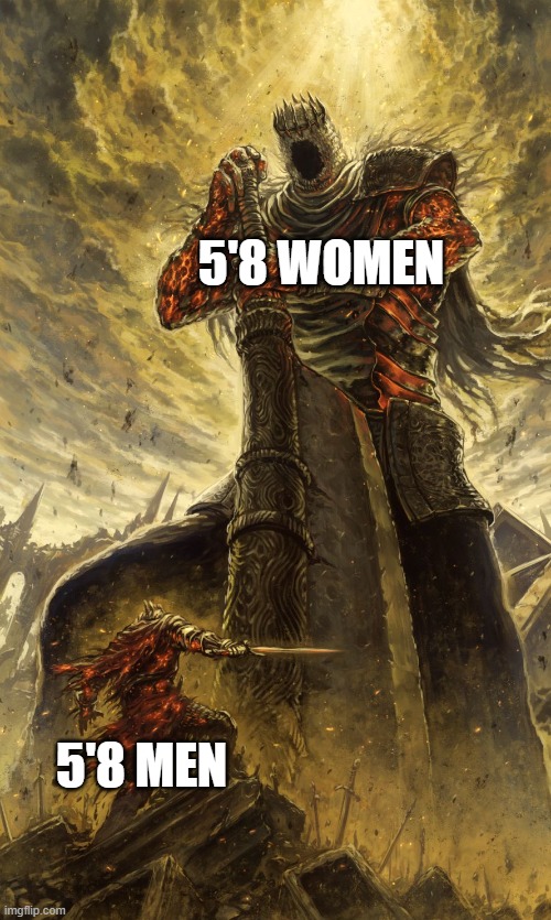 Yhorm Dark Souls | 5'8 WOMEN; 5'8 MEN | image tagged in yhorm dark souls | made w/ Imgflip meme maker