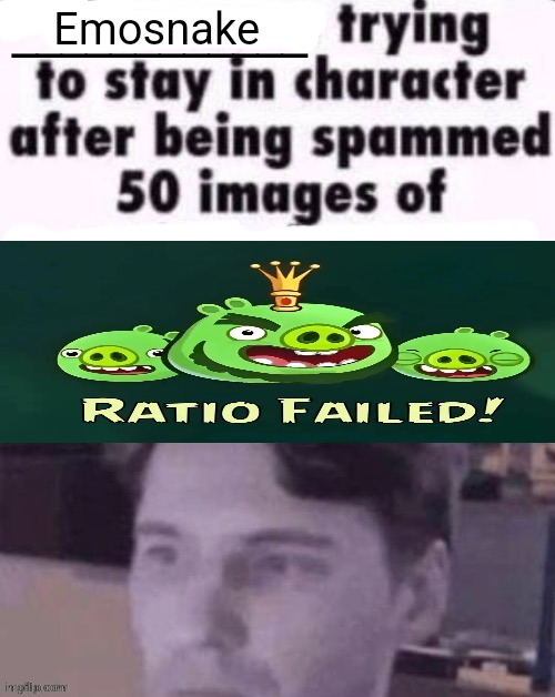 Silverburn is so annoying mane.. | Emosnake | image tagged in x trying to stay in character after being spammed 50 images of y | made w/ Imgflip meme maker