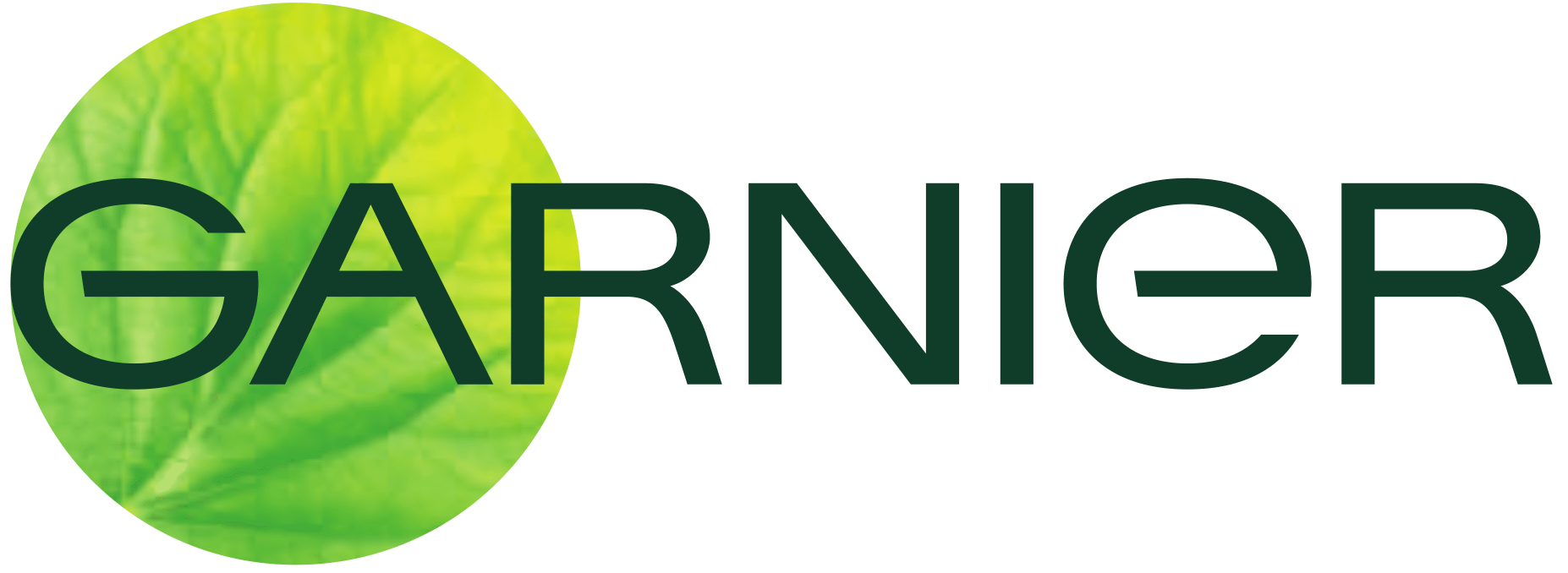 Garnier Logo Blank Meme Template