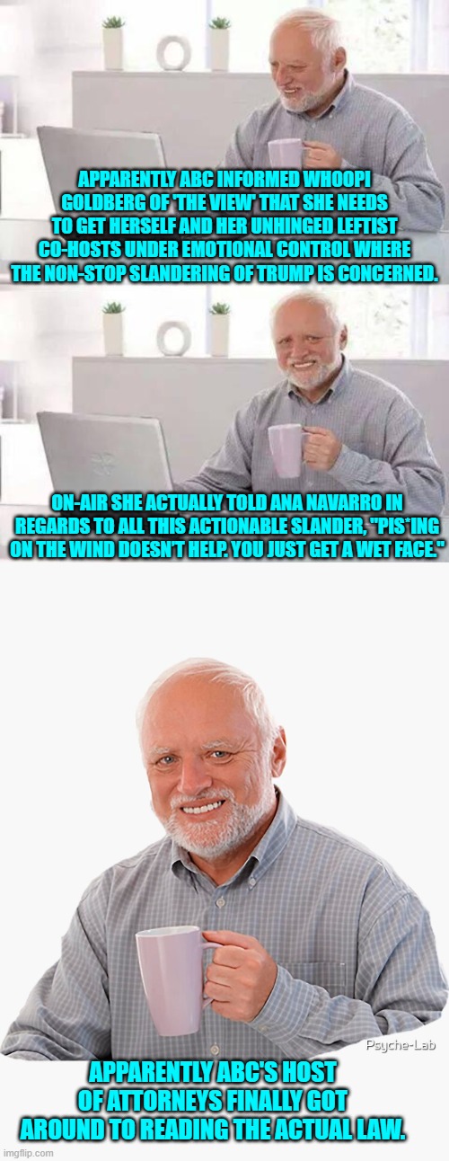 What a difference an election win can make. | APPARENTLY ABC INFORMED WHOOPI GOLDBERG OF 'THE VIEW' THAT SHE NEEDS TO GET HERSELF AND HER UNHINGED LEFTIST CO-HOSTS UNDER EMOTIONAL CONTROL WHERE THE NON-STOP SLANDERING OF TRUMP IS CONCERNED. ON-AIR SHE ACTUALLY TOLD ANA NAVARRO IN REGARDS TO ALL THIS ACTIONABLE SLANDER, "PIS*ING ON THE WIND DOESN’T HELP. YOU JUST GET A WET FACE."; APPARENTLY ABC'S HOST OF ATTORNEYS FINALLY GOT AROUND TO READING THE ACTUAL LAW. | image tagged in hide the pain harold | made w/ Imgflip meme maker