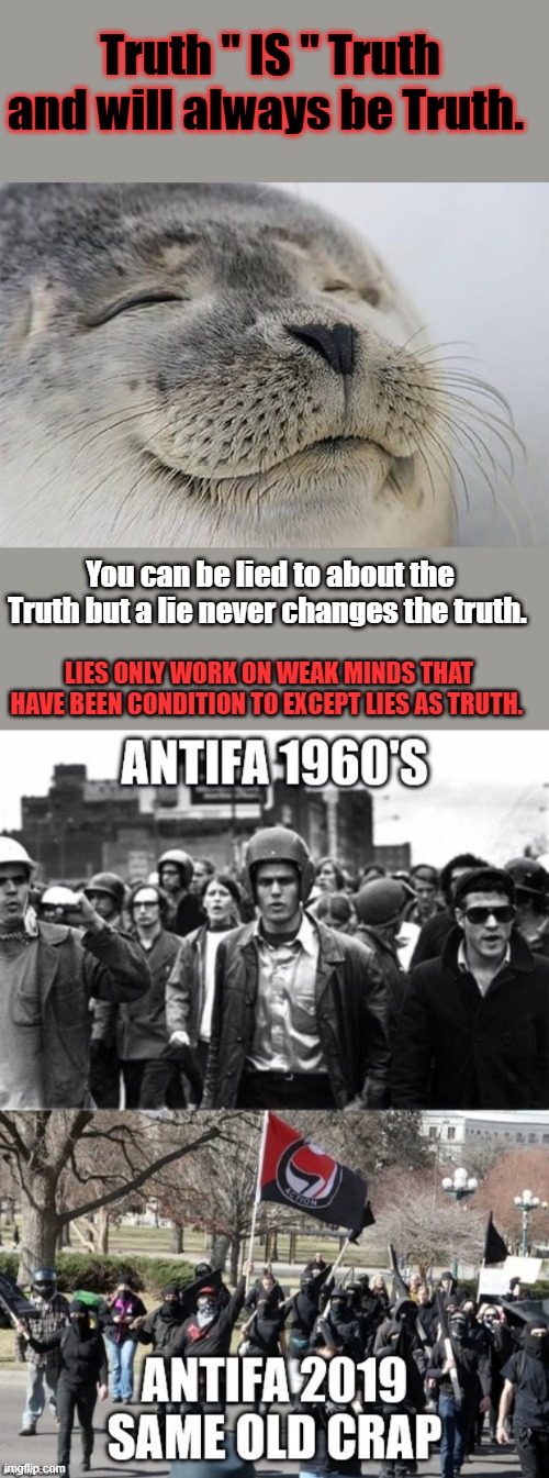 IF you don't fix the schools first ,you will always be controled by lies. 1+1 = 2 & always will. | Truth " IS " Truth and will always be Truth. You can be lied to about the Truth but a lie never changes the truth. LIES ONLY WORK ON WEAK MINDS THAT HAVE BEEN CONDITION TO EXCEPT LIES AS TRUTH. | image tagged in memes,satisfied seal | made w/ Imgflip meme maker