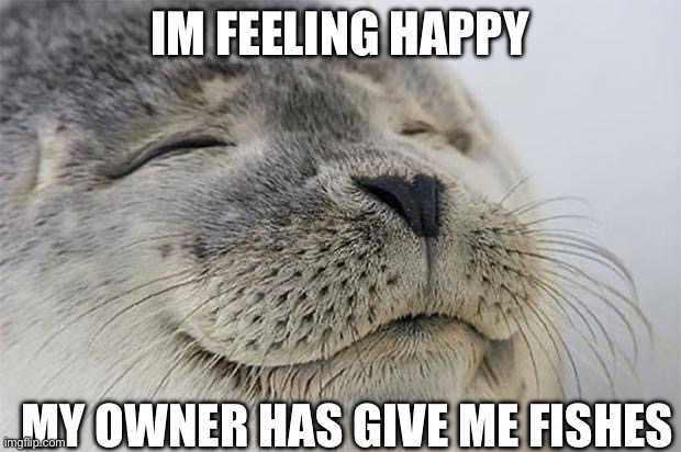 ? | IM FEELING HAPPY; MY OWNER HAS GIVE ME FISHES | image tagged in memes,satisfied seal | made w/ Imgflip meme maker