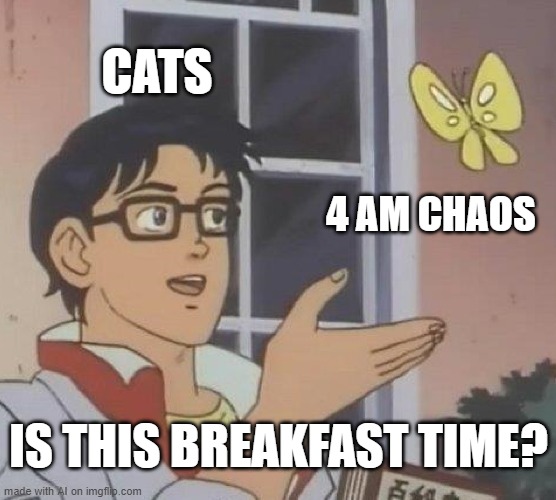 Is This A Pigeon | CATS; 4 AM CHAOS; IS THIS BREAKFAST TIME? | image tagged in memes,is this a pigeon | made w/ Imgflip meme maker