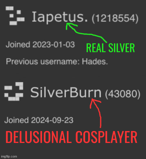 REAL SILVER; DELUSIONAL COSPLAYER | made w/ Imgflip meme maker