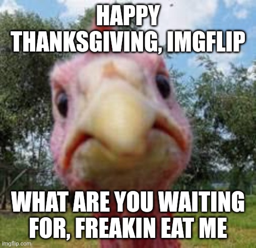 THANKSGIVING!!! | HAPPY THANKSGIVING, IMGFLIP; WHAT ARE YOU WAITING FOR, FREAKIN EAT ME | image tagged in turkey,thanksgiving | made w/ Imgflip meme maker