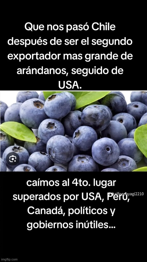 9bxsc6.jpg