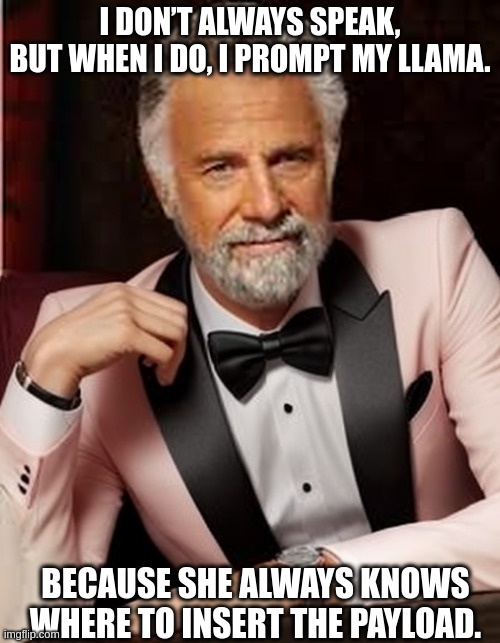 Do you ever prompt ? | I DON’T ALWAYS SPEAK,
BUT WHEN I DO, I PROMPT MY LLAMA. BECAUSE SHE ALWAYS KNOWS WHERE TO INSERT THE PAYLOAD. | image tagged in most interesting man | made w/ Imgflip meme maker