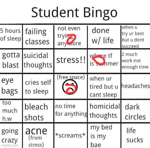 student bingo | image tagged in student bingo | made w/ Imgflip meme maker