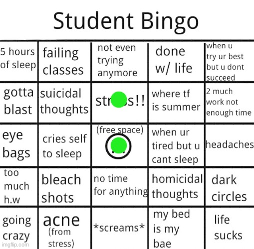 my life is still in one piece | image tagged in student bingo | made w/ Imgflip meme maker