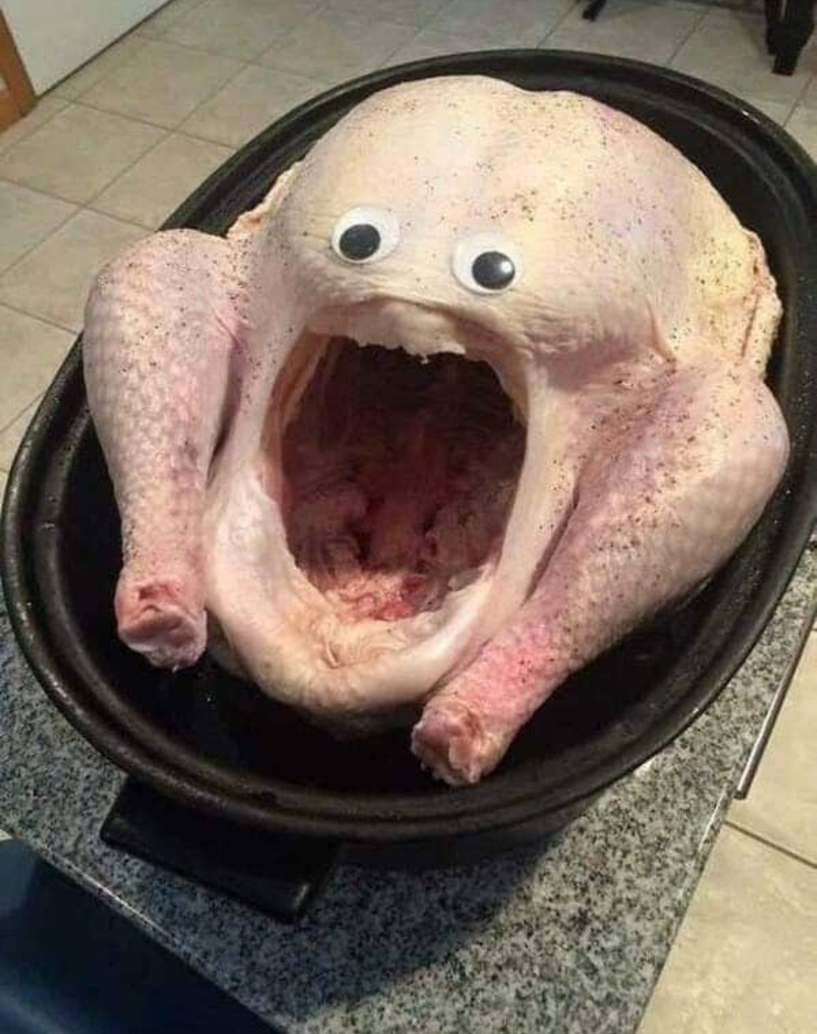 Startled turkey Blank Meme Template